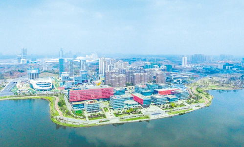 圖讀2021年成都市產(chǎn)業(yè)生態(tài)圈規(guī)劃——計(jì)算機(jī)網(wǎng)絡(luò)技術(shù)開(kāi)發(fā)領(lǐng)域重點(diǎn)解析